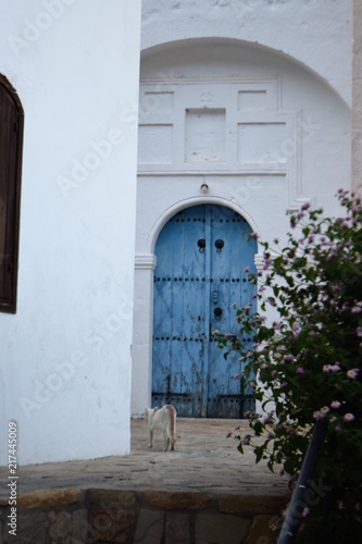 Old Mediterranean door © NATALIIA TOSUN