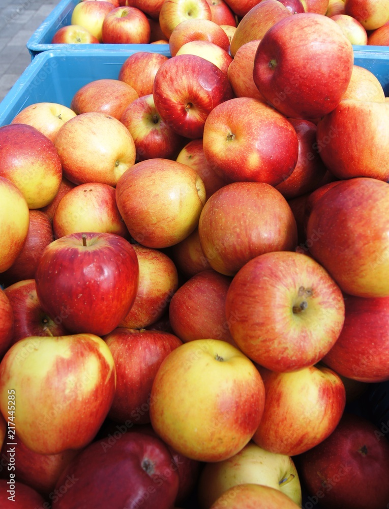 Äpfel ,apfel, obst, rot, essen, gesund, frisch, reif, isoliert, köstlich, diät, natur, süss, bio, frische, ackerbau, absatzmarkt, weiß, vitamin, group, gelb, saftig, auflösungszeichen Äpfel ,apfel, obst, rot, essen, gesund, frisch, reif, isoliert, köstlich, diät, natur, süss, bio, frische, ackerbau, absatzmarkt, weiß, vitamin, group, gelb, saftig, auflösungszeichen