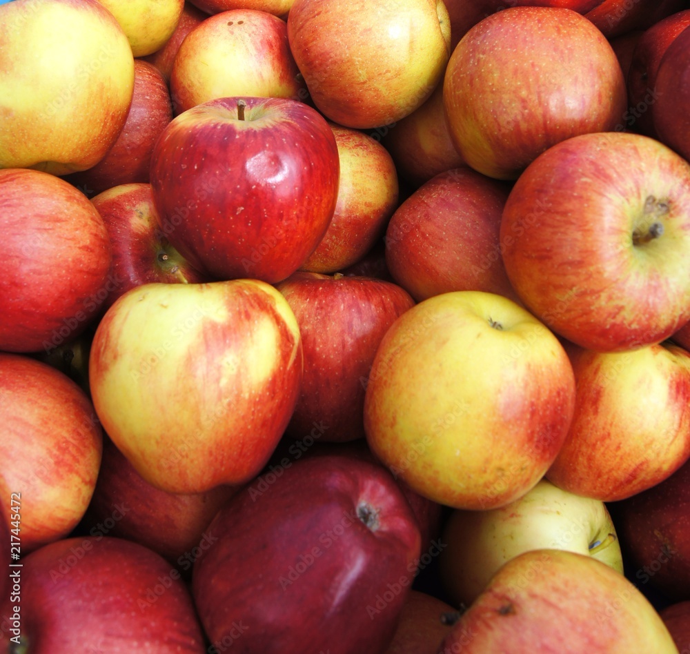 Fallobst, Most, Äpfel,apfel, obst, rot, essen, gesund, frisch, reif, isoliert, köstlich, diät, natur, süss, bio, frische, ackerbau, absatzmarkt, weiß, vitamin, group, gelb, saftig, auflösungszeichen Fallobst, Most, Äpfel,apfel, obst, rot, essen, gesund, frisch, reif, isoliert, köstlich, diät, natur, süss, bio, frische, ackerbau, absatzmarkt, weiß, vitamin, group, gelb, saftig, auflösungszeichen