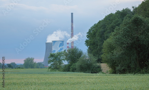 Zagajnik z drzewami, krzewami, zieloną łąką, za nimi duże i wysokie kominy fabryczne, z których unosi się gęsty dym