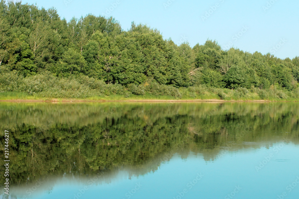 The green forest is mirrored in the water