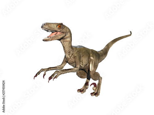 Dinosaurier Raptor © Dr. N. Lange