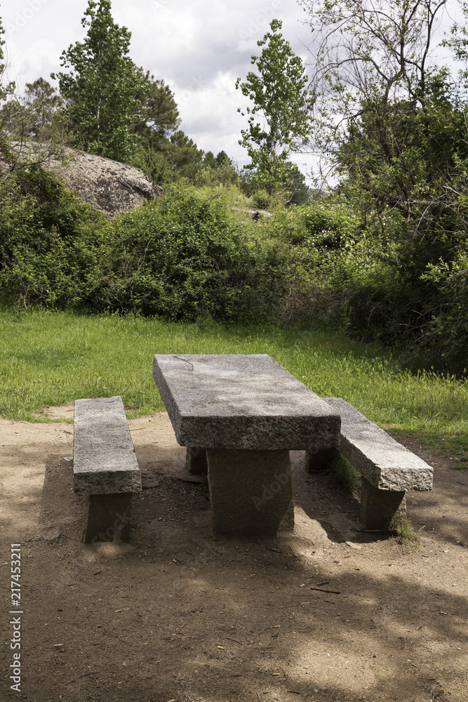 stone table for picnic in the shade of a tree in a green forest on a spring day
