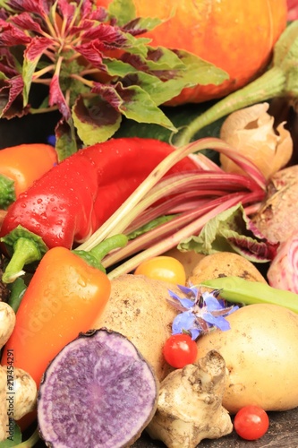 Fresh vegetables frum the garden photo