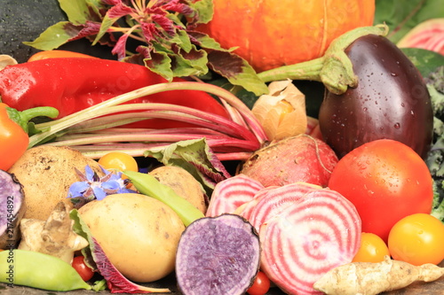 Fresh vegetables frum the garden photo