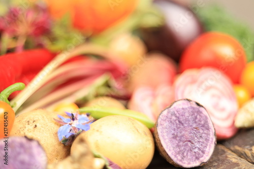 Fresh vegetables frum the garden photo