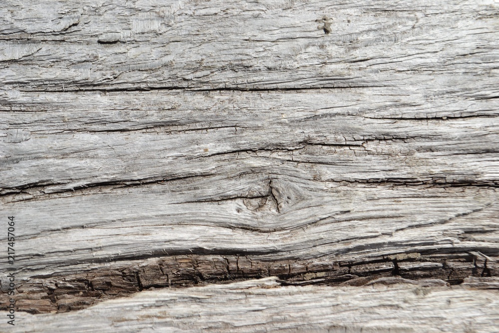Closeup photograph of gray, weathered hardwood. Closeup photograph of gray, weathered hardwood.
