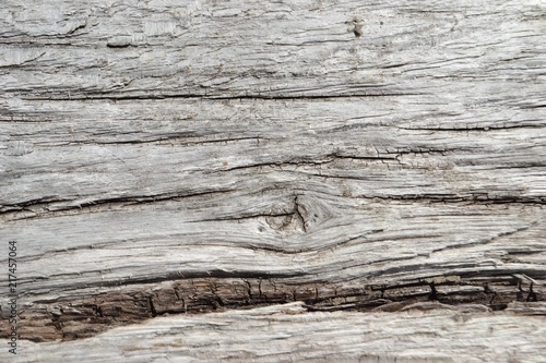 Closeup photograph of gray, weathered hardwood.