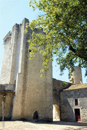 Ville médiévale d'Eymet, Tour Monseigneur du château, département de la Dordogne, Périgord, France photo