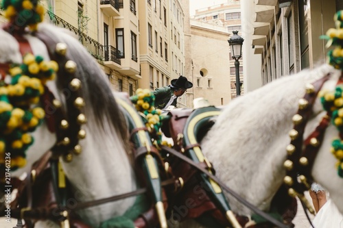 Head of Spanish race horses decorated with garlands.