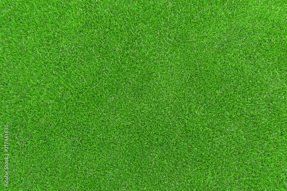 Lawn, Carpet - Decor, Land, Grass, Textured