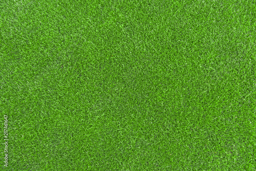 Lawn, Carpet - Decor, Land, Grass, Textured