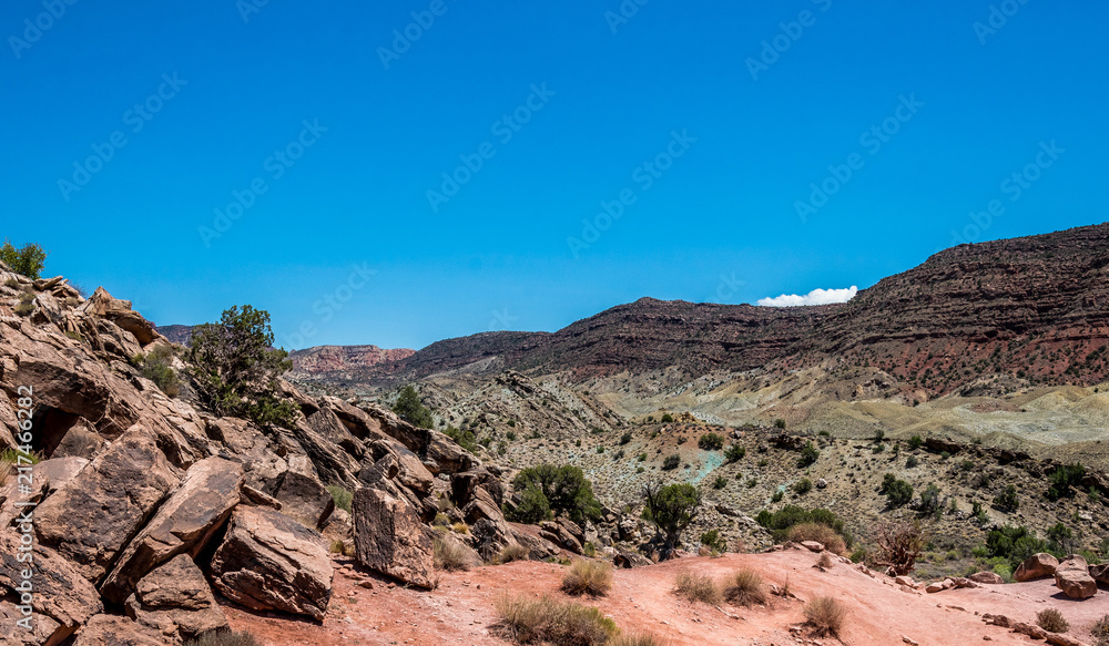 Desert landscape of Utah, USA. Weathered rocks, clear blue sky and desert bushes