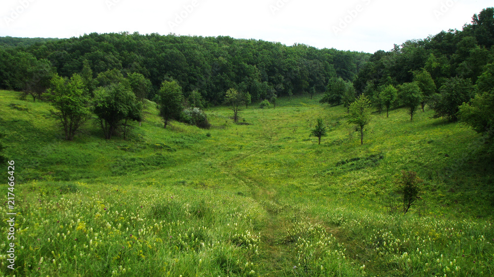 Fototapeta premium Куряжанка