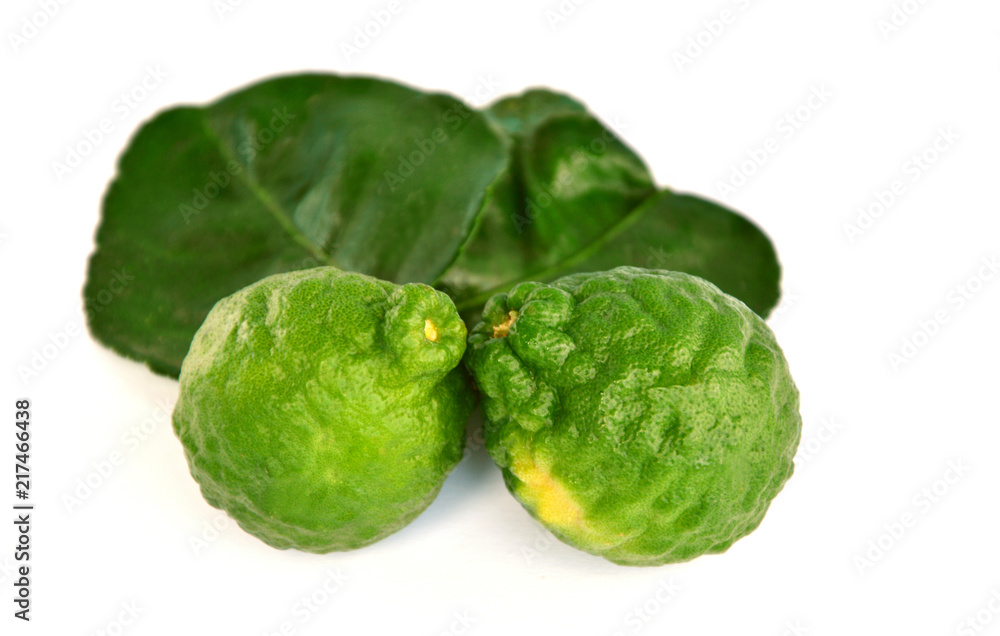 makrut lime or kaffir lime (Citrus hystrix) on white background.
Health Benefits of kaffir lime For Beauty and Traditional Medicine.
makrut lime or kaffir lime (Citrus hystrix) on white background.
Health Benefits of kaffir lime For Beauty and Traditional Medicine.