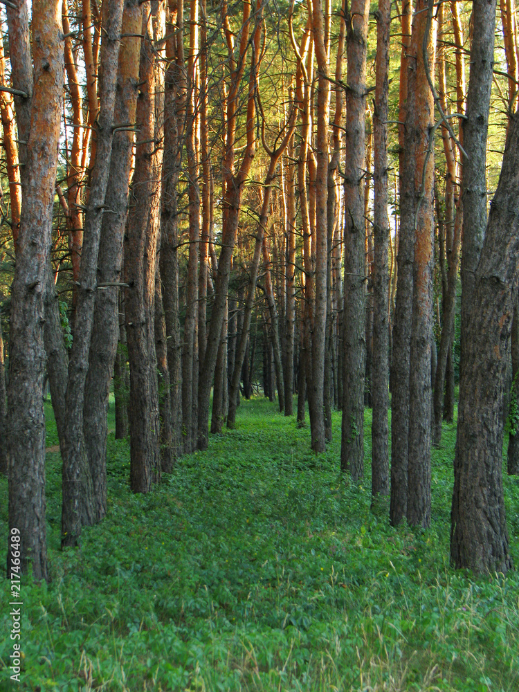 Obraz premium Новая Бавария