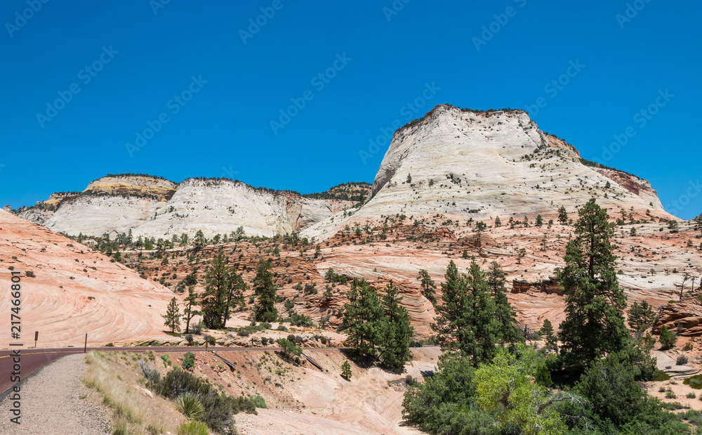 Fototapeta premium Zion National Park, Utah, USA. Road in the stone desert