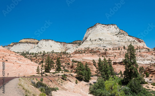 Zion National Park  Utah  USA. Road in the stone desert