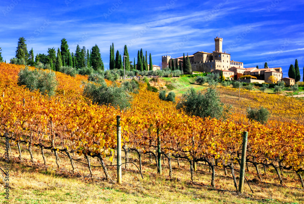 Picturesque  Tuscany - vineywrds and castles. Banfi-il borgo