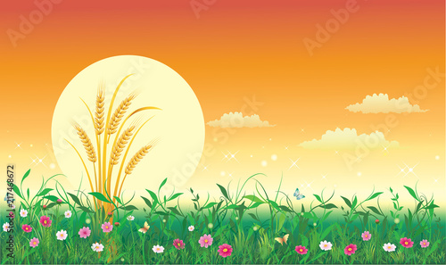 Summer natural landscape