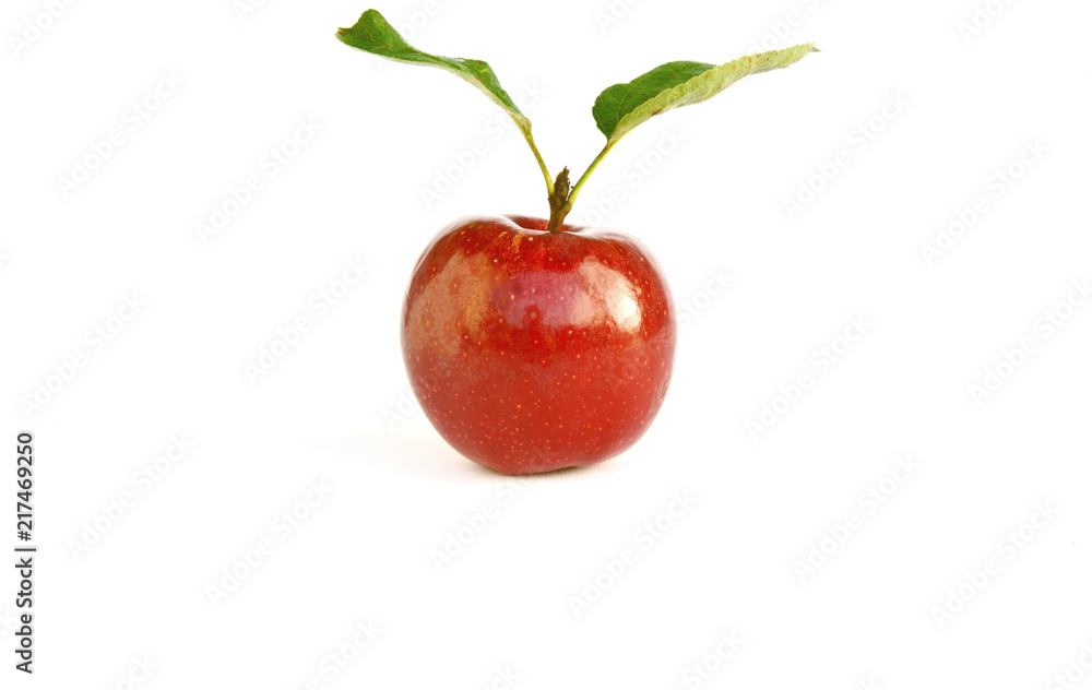 Gala or Red apple with fresh leaf and space on white background. Gala or Red apple with fresh leaf and space on white background.