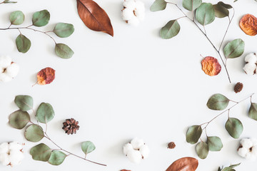 Autumn composition. Frame made of eucalyptus branches, cotton flowers, dried leaves on white background. Autumn, fall concept. Flat lay, top view, copy space