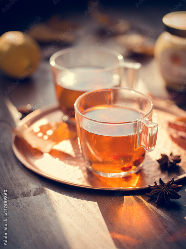 Tee Tasse Zitrone Herbst Getränk Wärme Licht Sonne Stillleben Strahlen Honig Glas Pause Tee Tasse Zitrone Herbst Getränk Wärme Licht Sonne Stillleben Strahlen Honig Glas Pause
