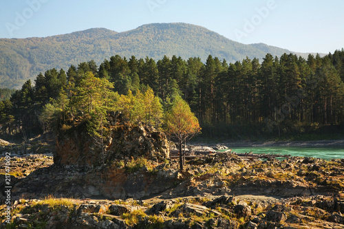 Katun river in Manzherok village. Altai Republic. Russia