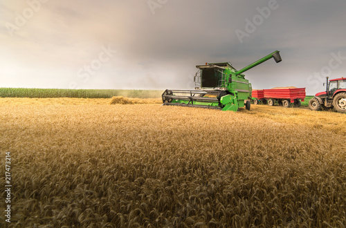 Pouring  grain into tractor trailer after harvest