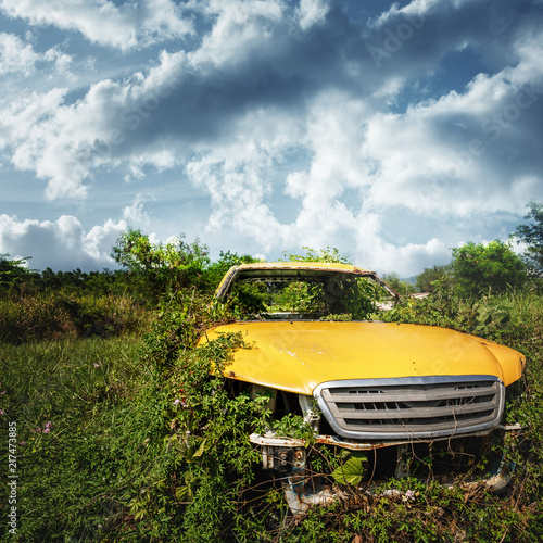 Old car inside the thickets of grass