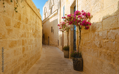 Fotografía Malta Mdina closeup of a typical narrow alley with beautiful little tree