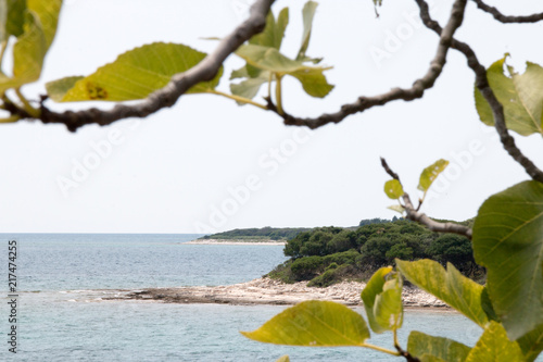 Brijuni, Croatia - July 28, 2018: View to the bays of the island Brijuni, Croatia photo