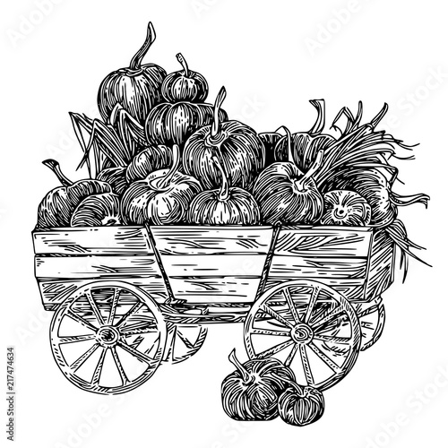 Autumn harvest. Wooden cart with pumpkins. Engraving style. Vector illustration.