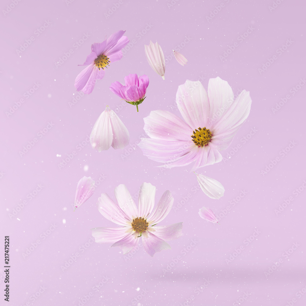 Beautiful flying pastel pink flowers Beautiful flying pastel pink flowers