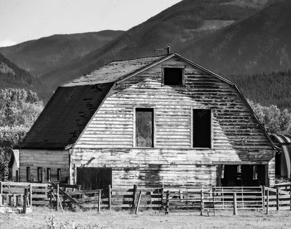 Midday at the Barn Midday at the Barn