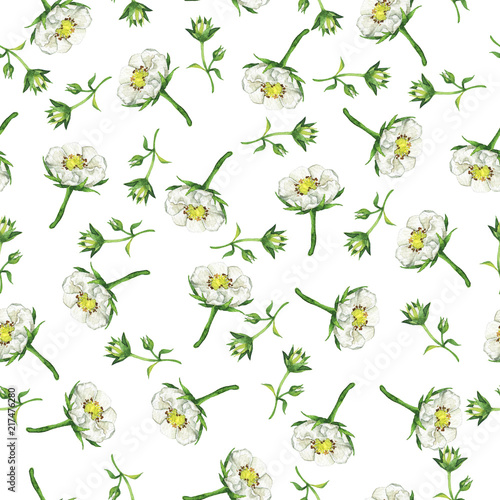 Wallpaper Mural Seamless pattern with strawberry flowers and green leaves isolated on white background. Hand drawn watercolor illustration. Torontodigital.ca