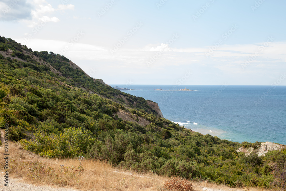 The sea in a mountainous area with trees in the afternoon