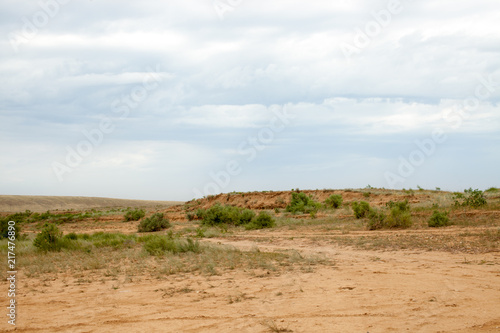 Bushes and trees on a sand quarry with a dry day
