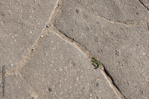 The texture of old asphalt on the road © ekramar