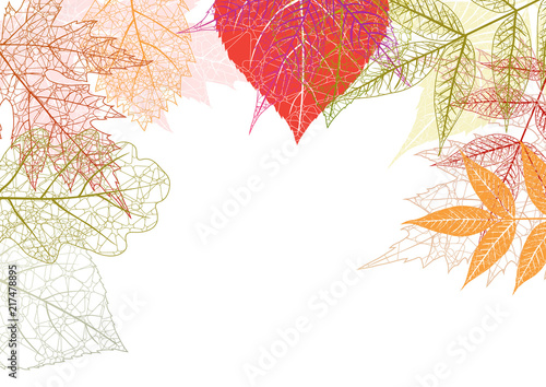 Autumn background with maple leaves and pumpkin. Fall background.