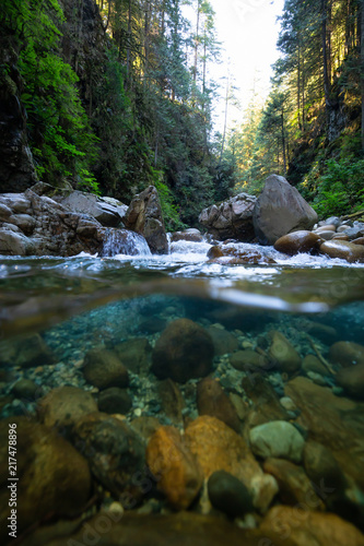 Over and Under picture of a beautiful Canyon in Lynn Valley  North Vancouver  British Columbia  Canada.