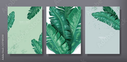 Tropical trendy greeting or invitation card template design, set of poster, flyer, brochure, cover, party advertisement, dark green palm leaves in vector
