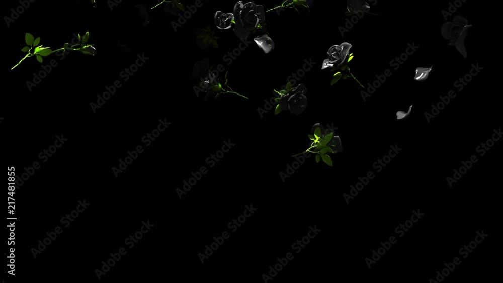 Falling Black Roses On Black Background..3DCG render Animation. Stock ...