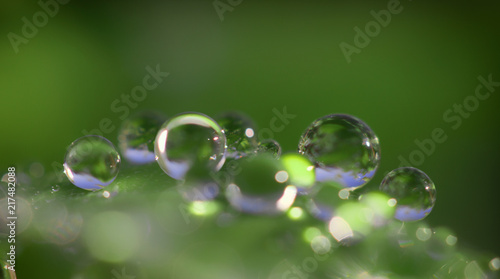 Dew drops on a green leaf close up background