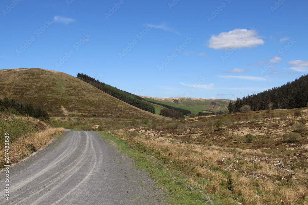 Nature Landscape Background