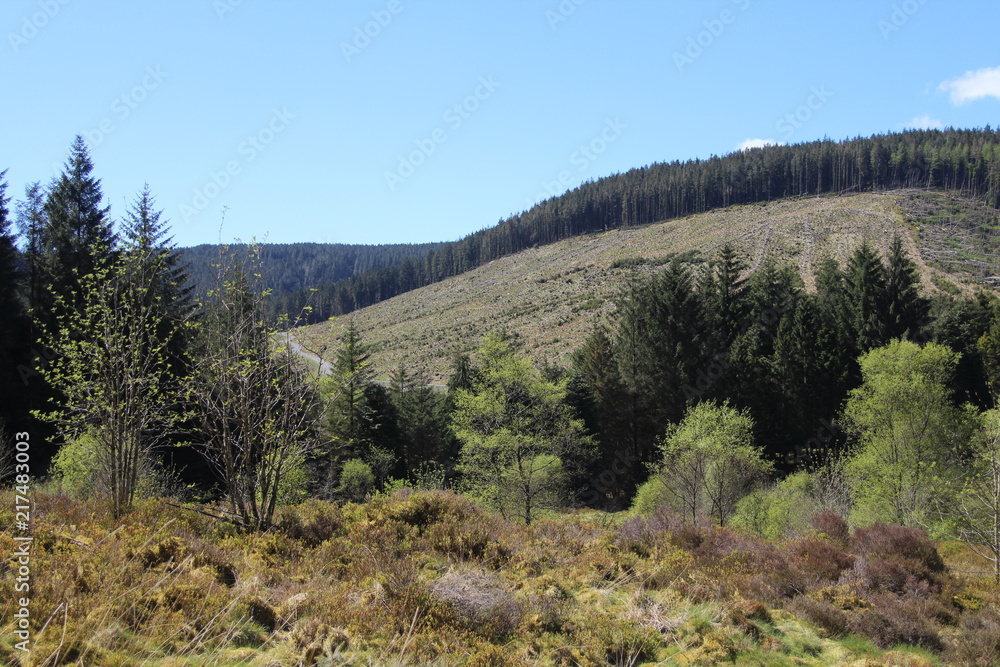Nature Landscape Background Nature Landscape Background