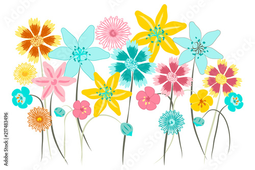 Wall art, nursery or children's room decor. Flower placement print for kids apparel. Wildflower vector illustration.