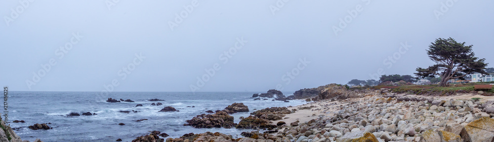 Panoramic View of Beach with Sand and Rocks and Large Tree