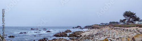 Panoramic View of Beach with Sand and Rocks and Large Tree