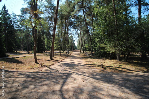 Field of honour in Loenen, the Netherlands for fallen soldiers, resistance members and political prisoners. photo